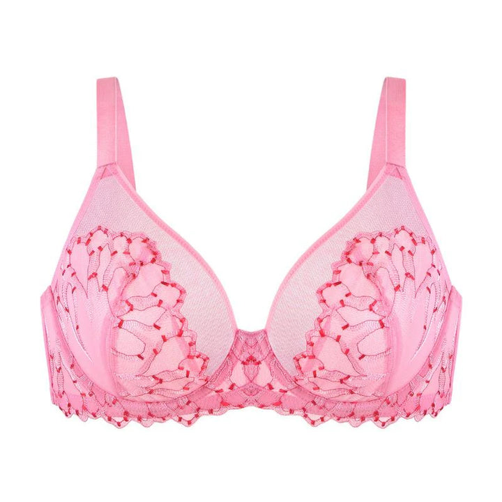 HSIA Winter Sonata Embroidered Lace Trim Full Coverage Unlined Underwire Bra